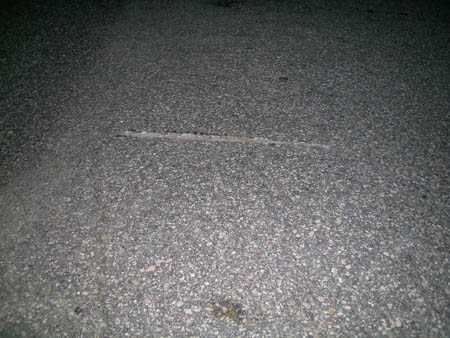 DSCN0849